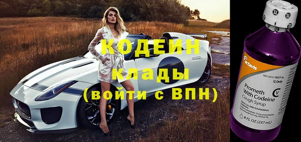 соль ск Козельск