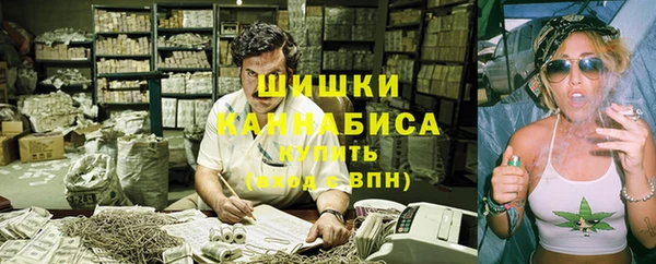 дмт Кодинск