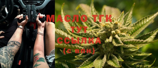 дмт Кодинск