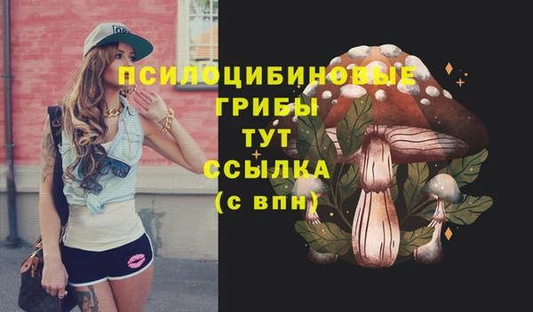 амфетамин Козловка