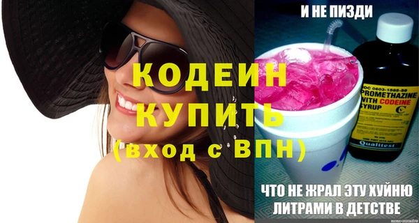 дмт Кодинск