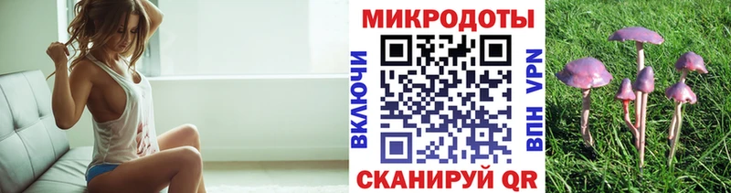 Псилоцибиновые грибы Psilocybe  Купить где  Белогорск 